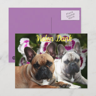 French Bulldog Thank you French Bulldog Postcard