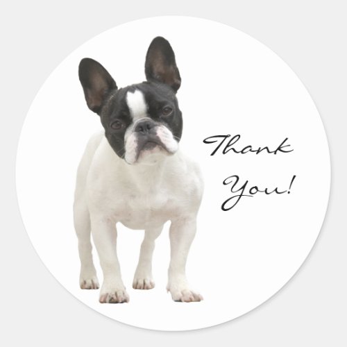 French Bulldog thank you round stickers gift idea Classic Round Sticker