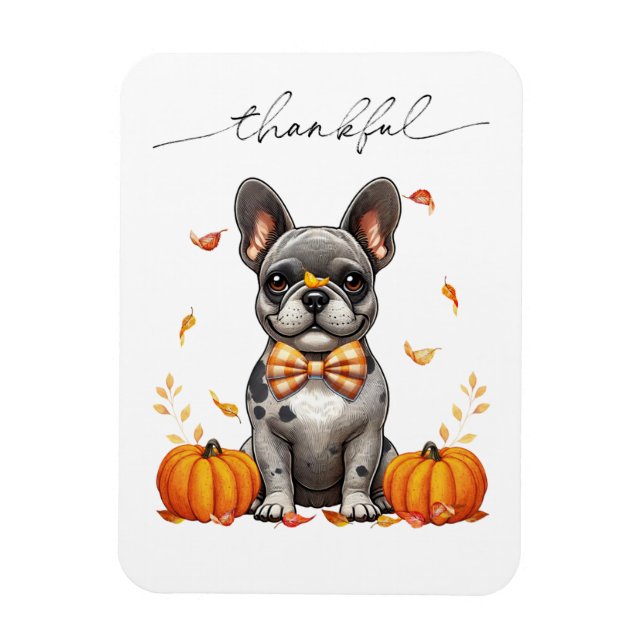 French Bulldog Thankful Fall Leaves Pumpkins Magnet (Vertical)