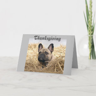 French Bulldog Thanksgiving French Bulldog Invitation