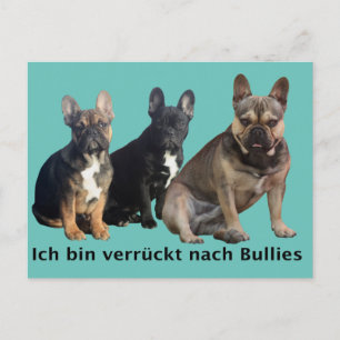 French Bulldog three buddies French Bulldog Postcard