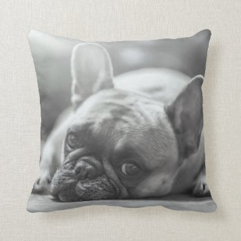 French Bulldog Throw Pillow by pdphoto at Zazzle
