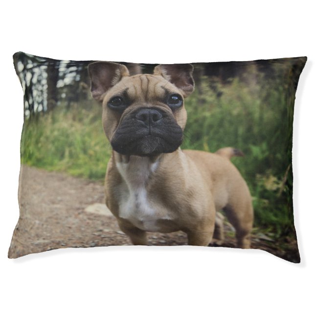 French Bulldog Throw Pillow (Front)