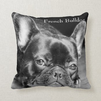French Bulldog Throw Pillow by artinphotography at Zazzle