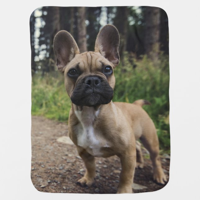 French Bulldog Throw Pillow Baby Blanket (Front)