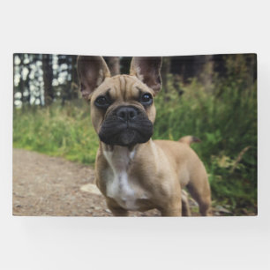 French Bulldog Throw Pillow Banner