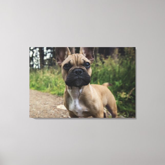 French Bulldog Throw Pillow Canvas Print (Front)