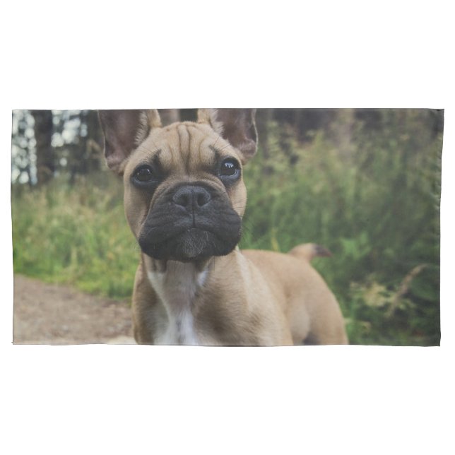 French Bulldog Throw Pillow Case (Front)