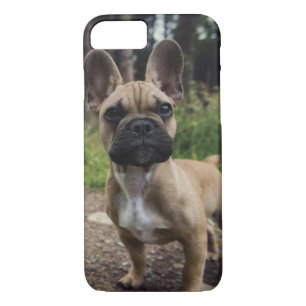 Society6 iPhone4/4S,5用 FRENCH BULLDOG BOSS Society6 iPhone4/4S,5用 FRENCH BULLDOG BOSS French Bulldog