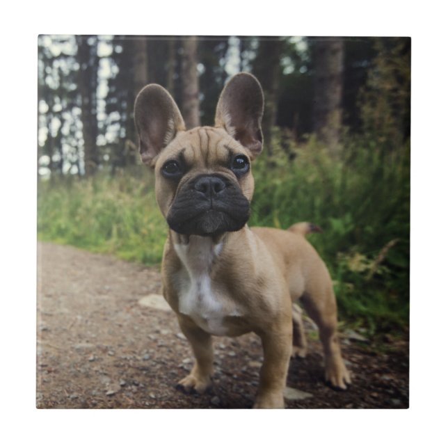 French Bulldog Throw Pillow Ceramic Tile (Front)