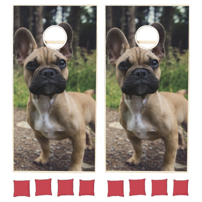 French Bulldog Throw Pillow Cornhole Set (Set)