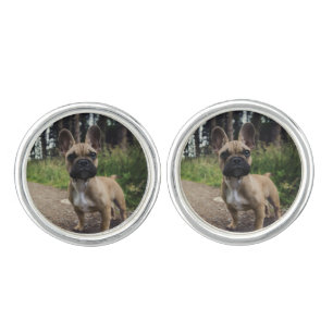 French Bulldog Throw Pillow Cufflinks