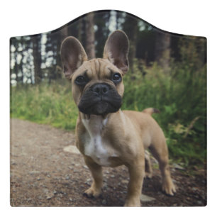 French Bulldog Throw Pillow Door Sign