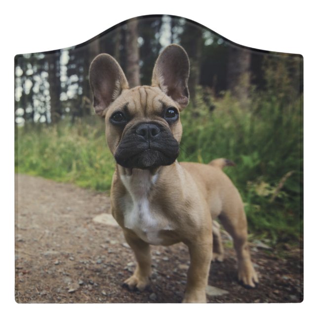 French Bulldog Throw Pillow Door Sign (Large Crest Front)