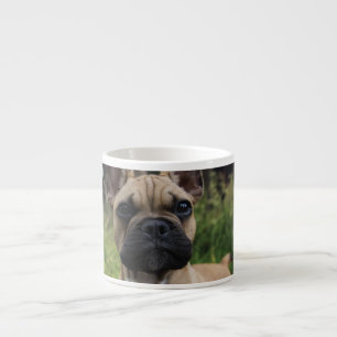 French Bulldog Throw Pillow Espresso Cup