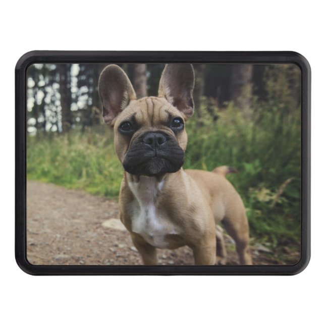 French Bulldog Throw Pillow Hitch Cover (Front)
