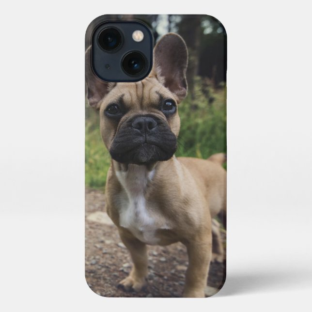 French Bulldog Throw Pillow iPhone Case (Back)