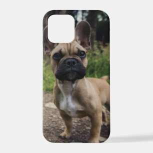 French Bulldog Throw Pillow iPhone 12 Pro Case
