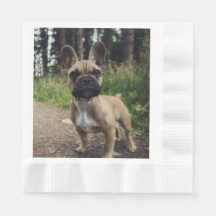 French Bulldog Throw Pillow Napkins