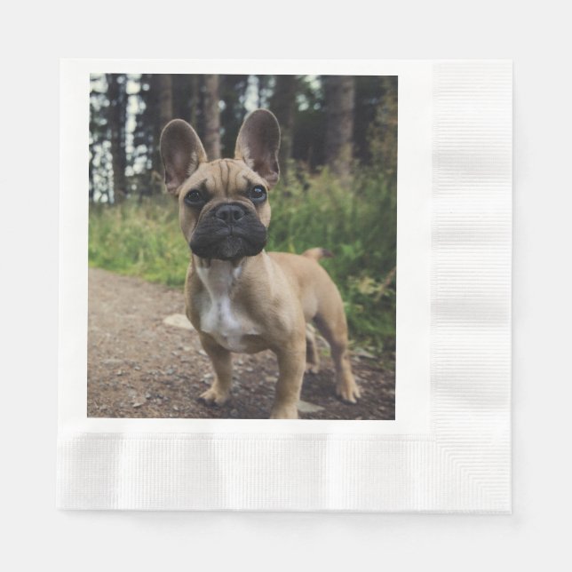 French Bulldog Throw Pillow Napkins (Front)