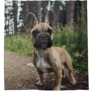 French Bulldog Throw Pillow Shower Curtain