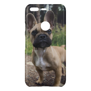 French Bulldog Throw Pillow Uncommon Google Pixel Case