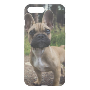French Bulldog Throw Pillow iPhone 8 Plus/7 Plus Case