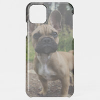 French Bulldog Throw Pillow