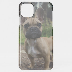 French Bulldog Throw Pillow iPhone 11 Pro Max Case