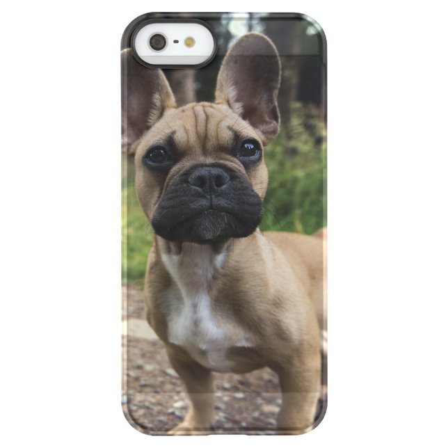French Bulldog Throw Pillow Uncommon iPhone Case (Back)