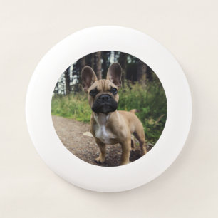 French Bulldog Throw Pillow Wham-O Frisbee