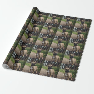 French Bulldog Throw Pillow Wrapping Paper