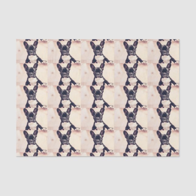 French Bulldog Tissue Paper (Front)