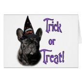 French Bulldog Trick (Front Horizontal)