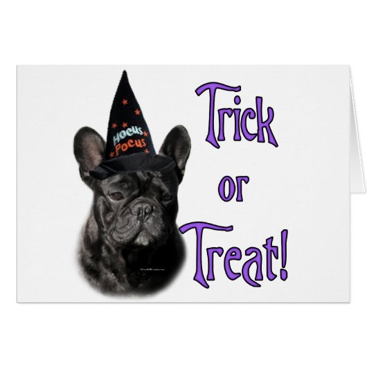 French Bulldog Trick (Front Horizontal)