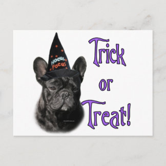 French Bulldog Trick Postcard