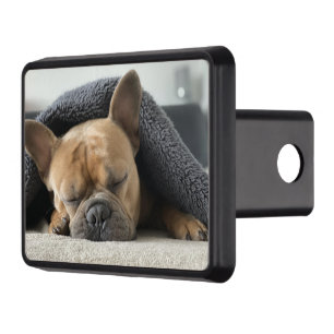 french bulldog under blanket hitch cover
