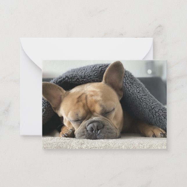 french bulldog under blanket   note card (Front)