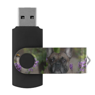 French Bulldog USB Drive