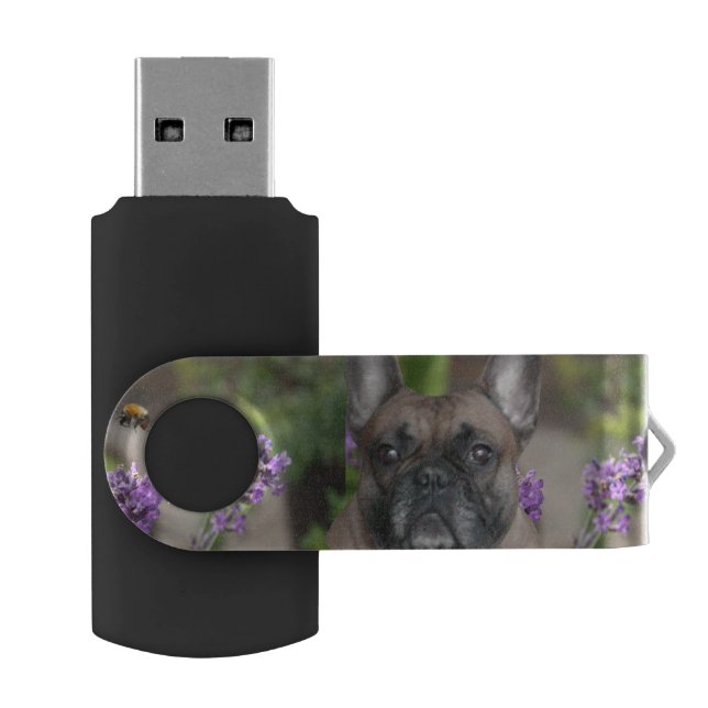 French Bulldog USB Drive (Opened)