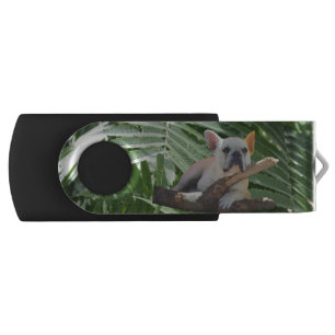 French Bulldog USB Drive
