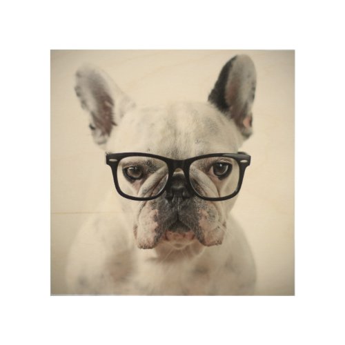 French Bulldog Wearing Black Eye Glasses Wood Wall Art