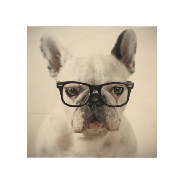 French Bulldog Wearing Black Eye Glasses Wood Wall Art (Front)