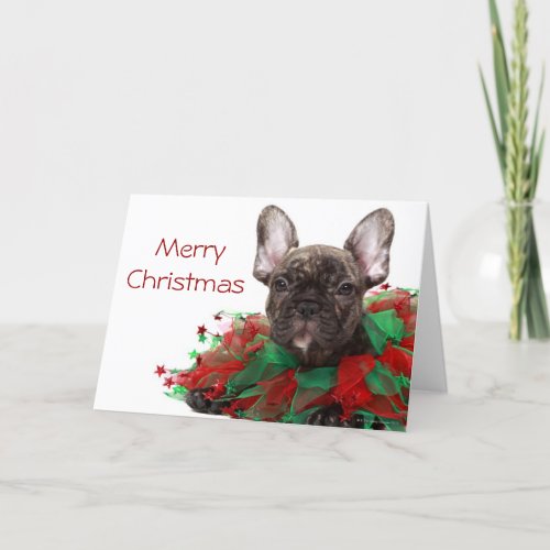 French bulldog wearing Christmas collar Holiday Card