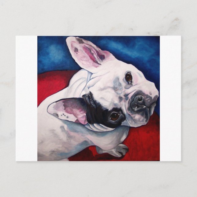 French Bulldog, White and Black Postcard (Front)