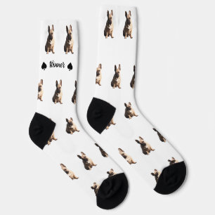 French Bulldog Winner Socks