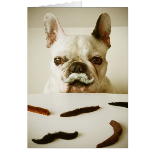 French Bulldog With A Mustache Cards (Front)