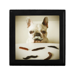 French Bulldog With A Mustache Jewelry Box