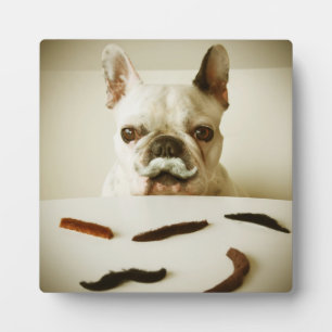 French Bulldog With A Mustache Plaque