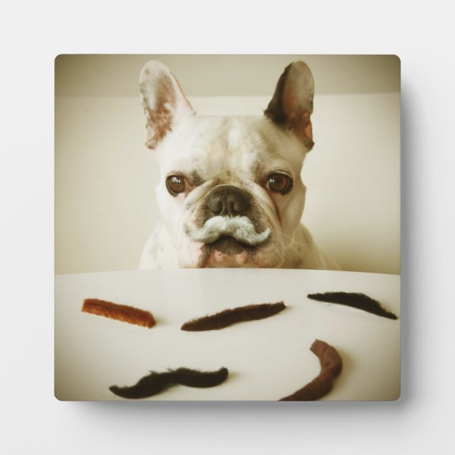 French Bulldog With A Mustache Plaque (Front)